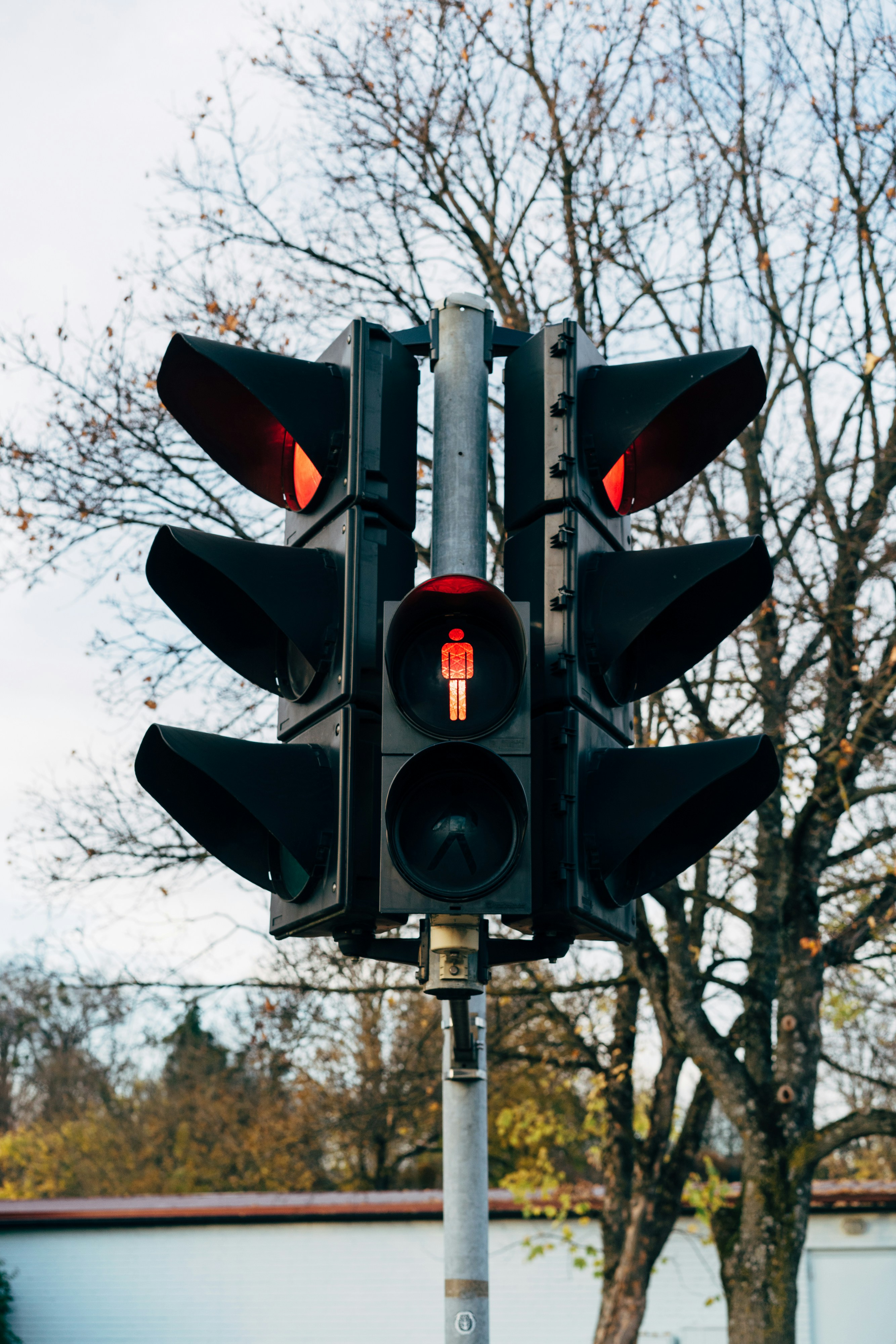 Regulatory & Compliance Support